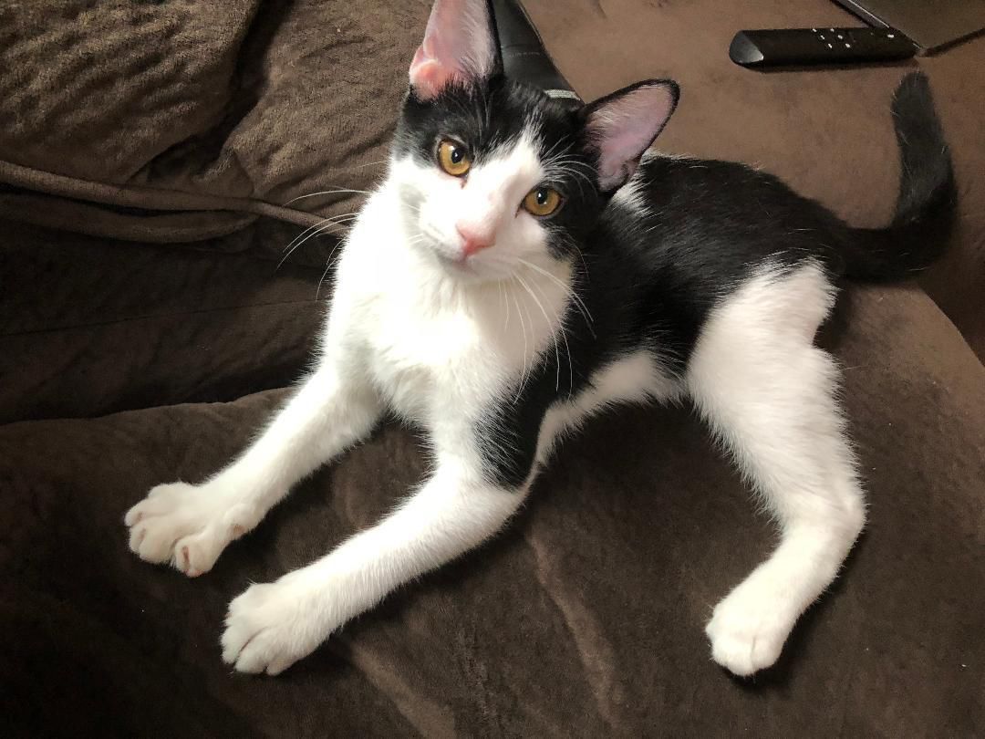 Shiloh